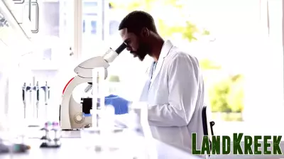 Alexandria Real Estate Equities: A Promising Investment Opportunity Following Earnings Dip